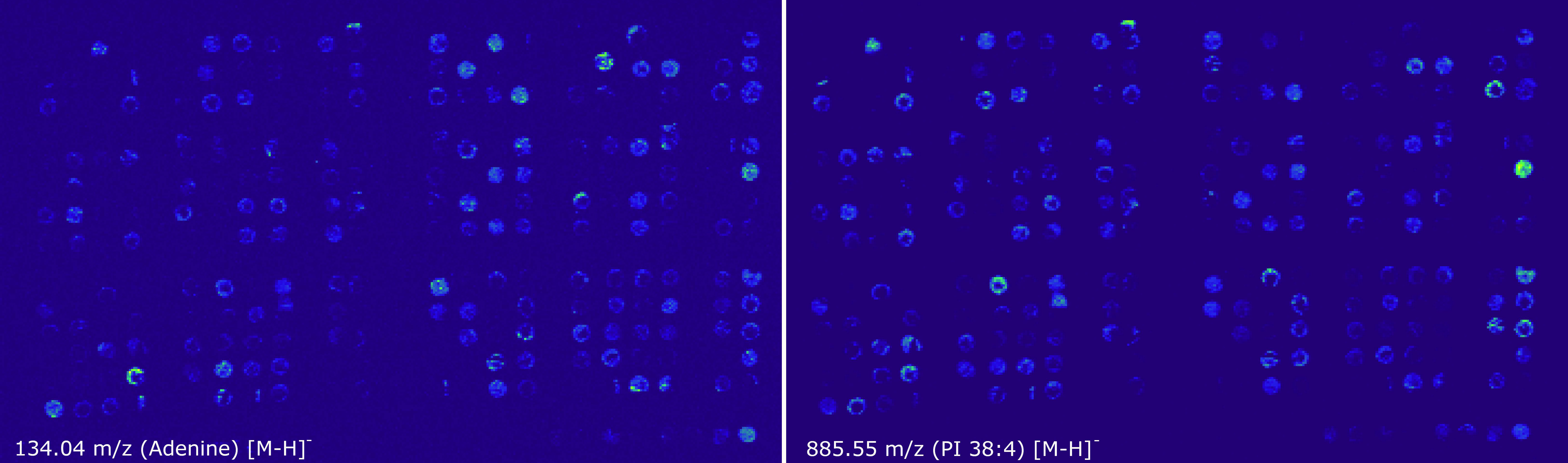 AmbiSampler — High-Throughput Solution